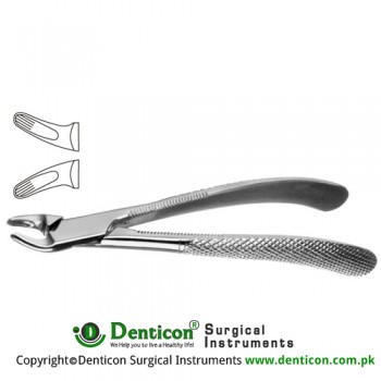 English Pattern Tooth Extracting Forcep (Child) Fig. 159 (For Upper Premolars) Stainless Steel, Standard